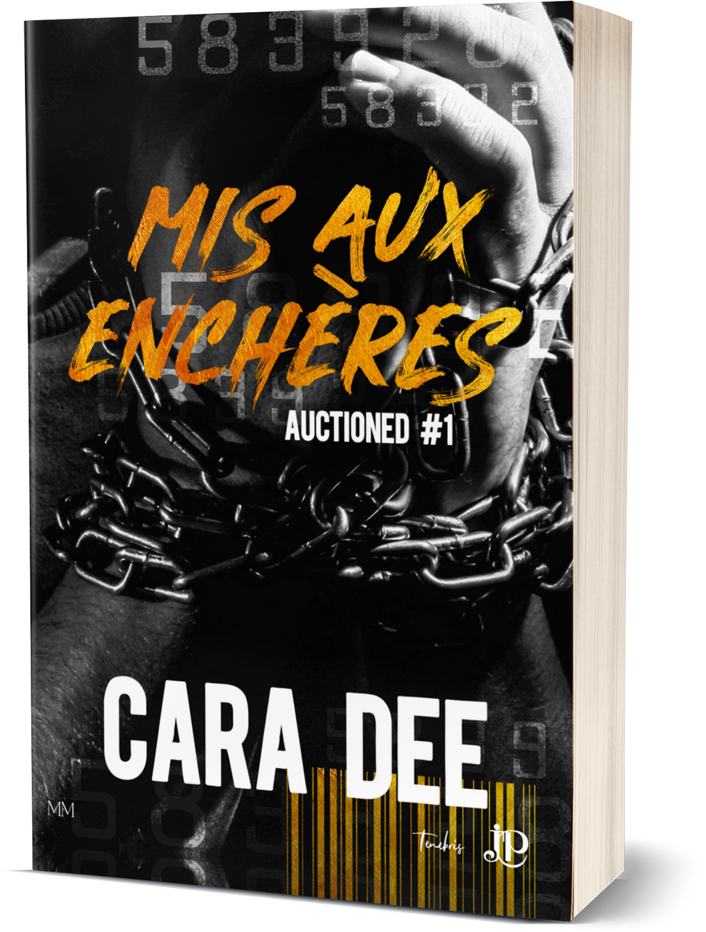 Auctioned #1 : Mis aux enchères