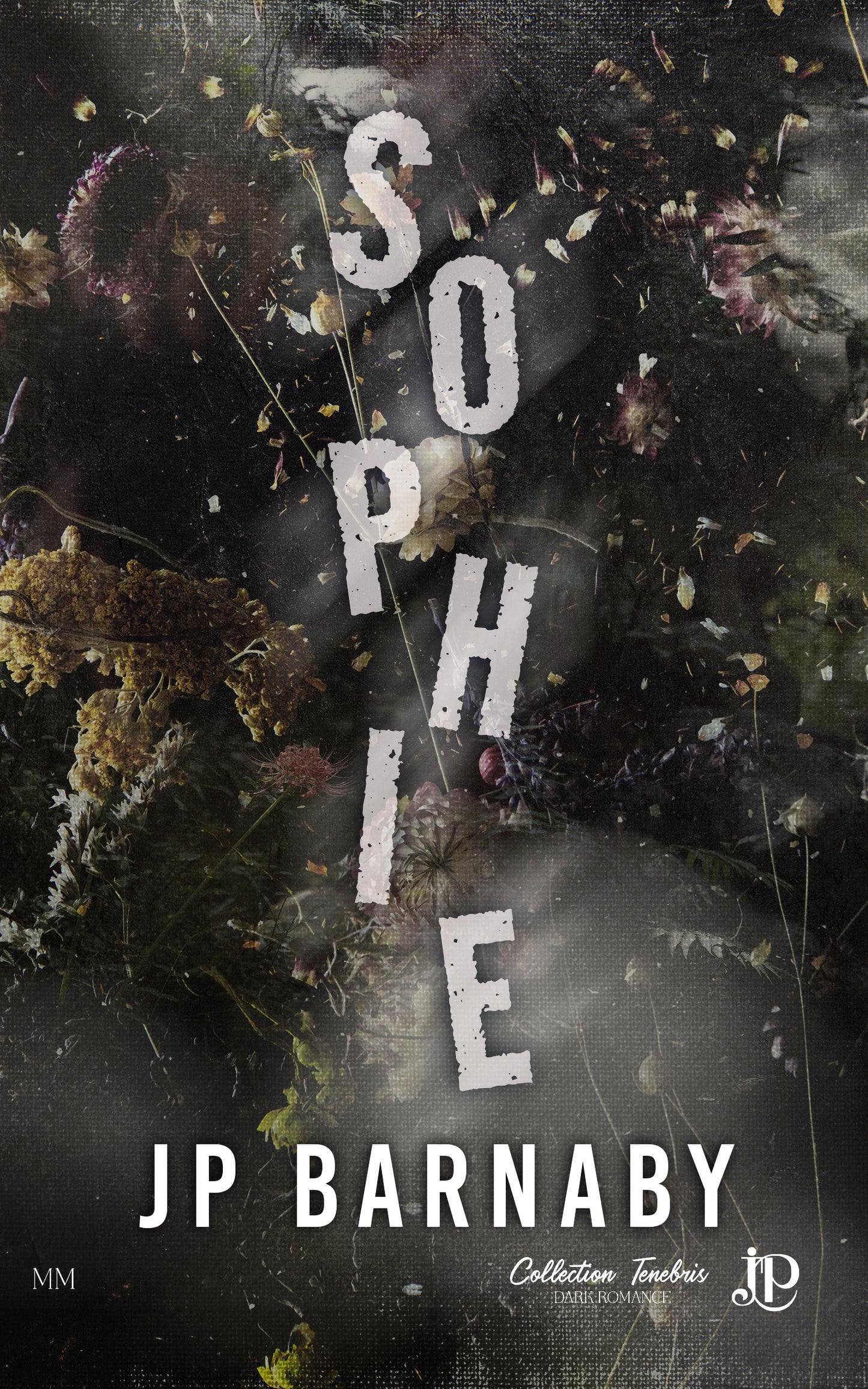 Histoire d'un survivant #5 : Sophie