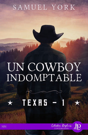 Cowboy Texas
